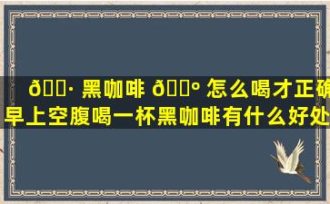 🕷 黑咖啡 🐺 怎么喝才正确,早上空腹喝一杯黑咖啡有什么好处